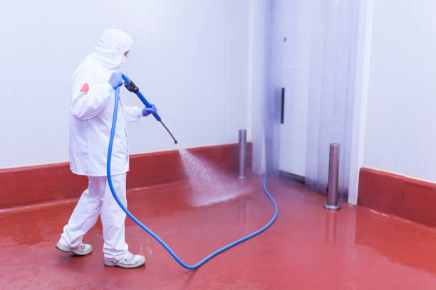 Best Roof Washing  in Glens Falls, NY